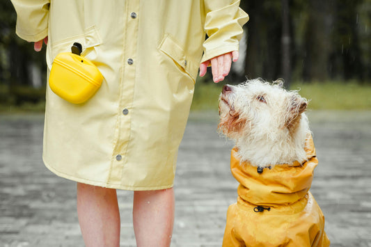 🐶 Keep Your Pup Warm: Dog Clothes for Autumn & Winter