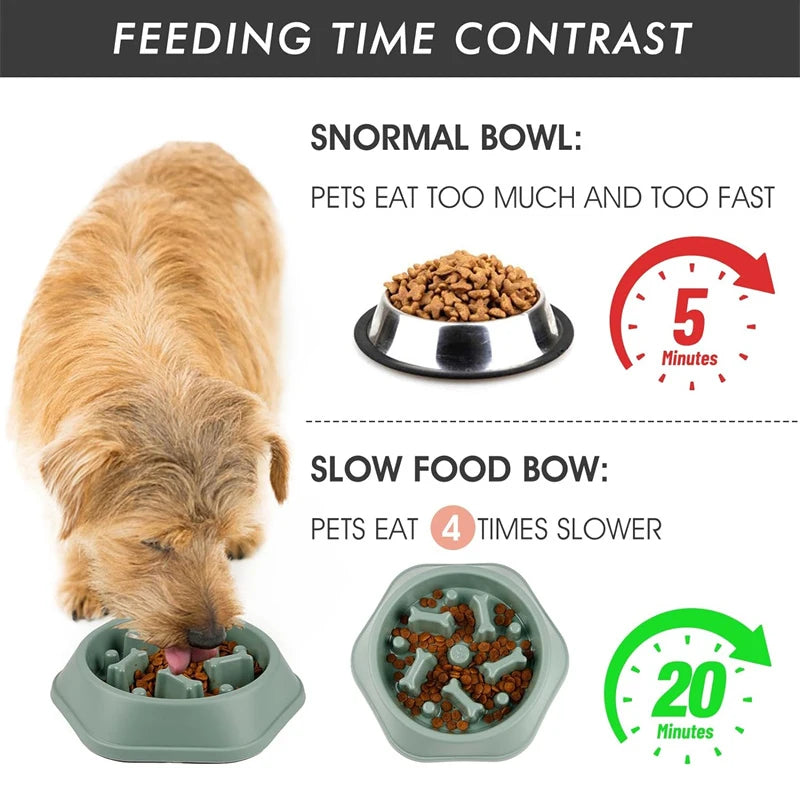 Puzzle Slow Feeder Bowl for Dogs – Anti-Choke Design