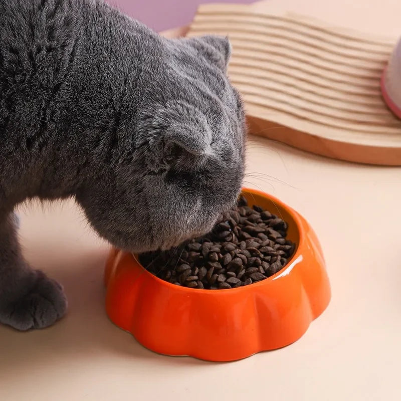 Cute Fruit Pet Bowls – Ceramic Dishes for Cats & Small Dogs