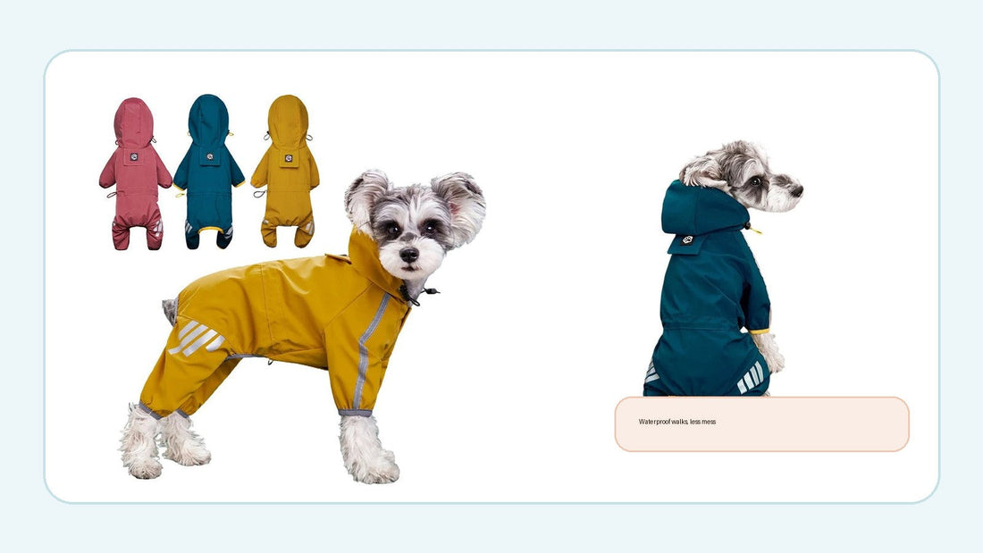 Furvix waterproof dog raincoat arranged on a clean blue lifestyle background