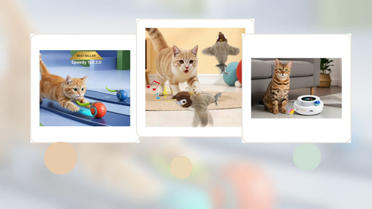 Indoor cat enrichment toys arranged in a Furvix-style hero image for cat boredom signs