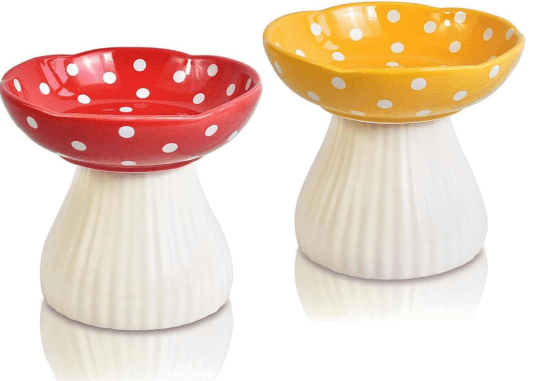Mushroom Cat Bowl: Elevated, Neck Protection Design - Furvix