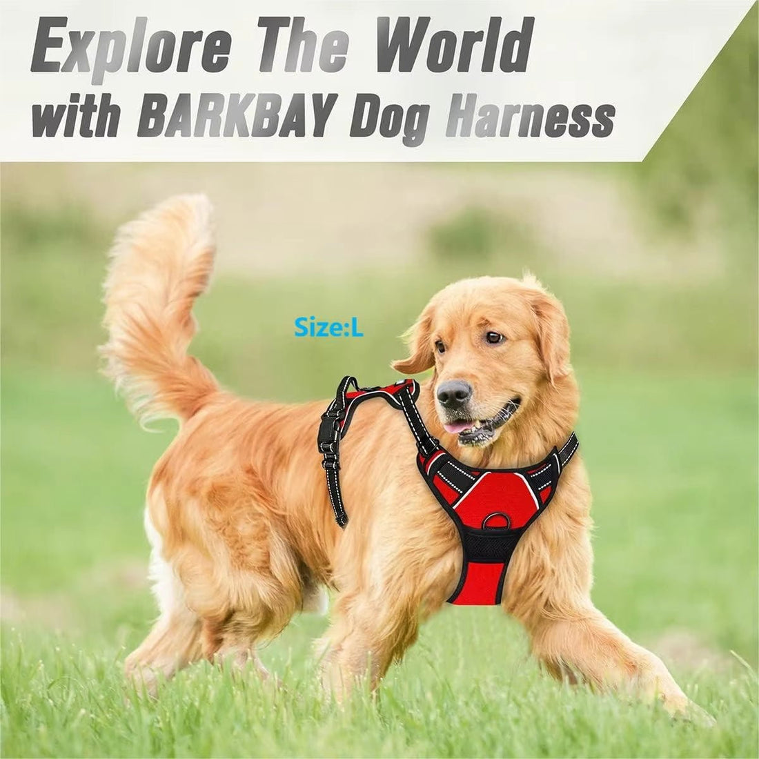 No Pull Dog Harness: Front Clip, Reflective, Control Handle - Furvix