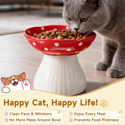 Elevated Cat Food Bowl