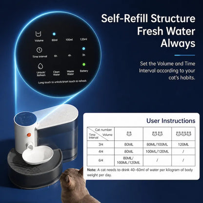 Pet water dispenser with digital display and user instructions on a blue background