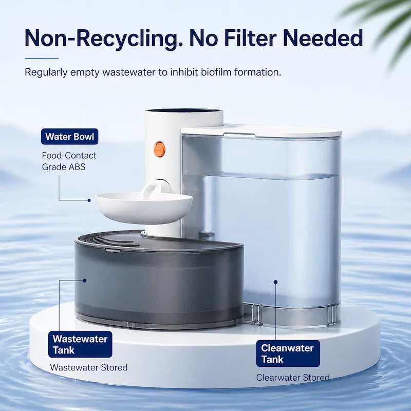 Filterless automatic cat water fountain
