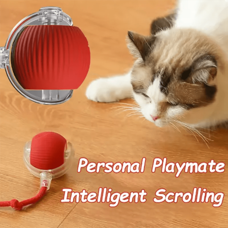 Self - Moving Cat Toy Ball with Obstacle Avoidance - Furvix