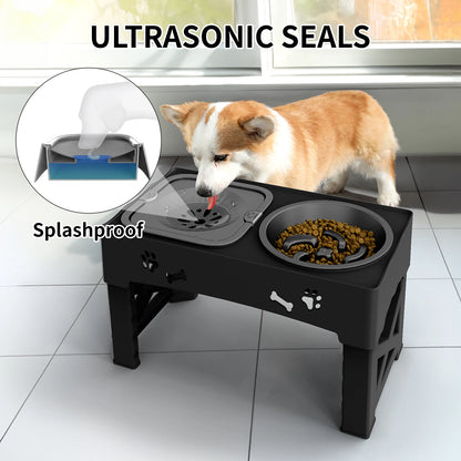 Foldable 3-in-1 Pet Bowls – Slow Feed, Adjustable Height
