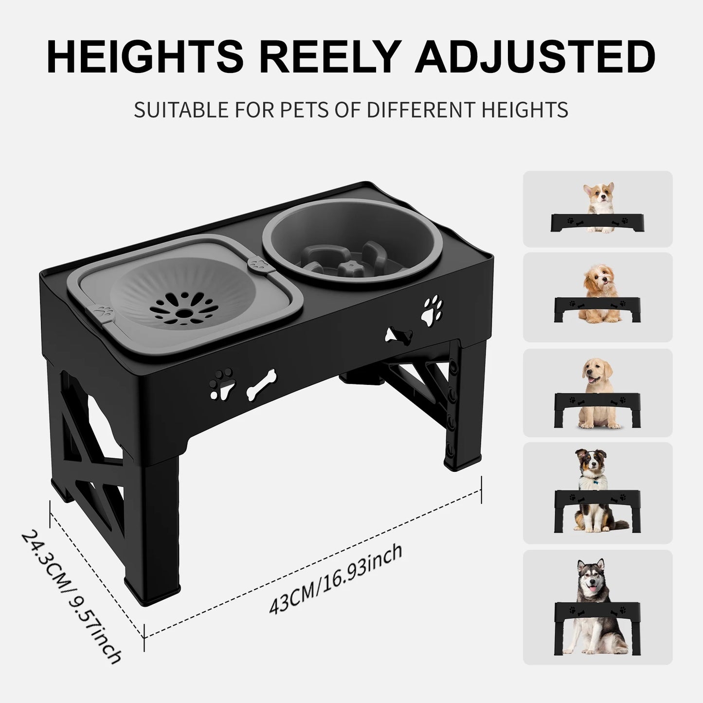 Foldable 3-in-1 Pet Bowls – Slow Feed, Adjustable Height