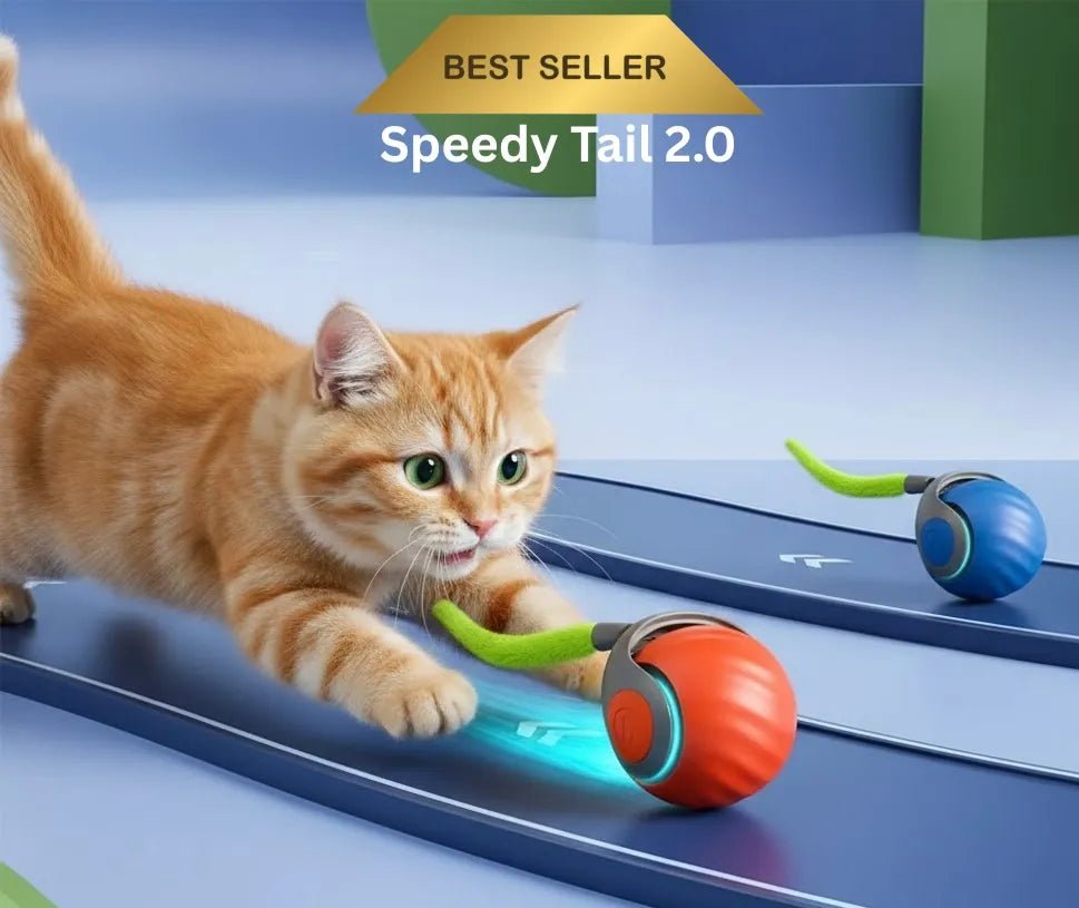 Speedy Tail 2.0: Smart Interactive Cat Toy Ball - Furvix