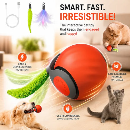Interactive cat toy with USB rechargeable feature, featuring a dog and cat playing with it.
